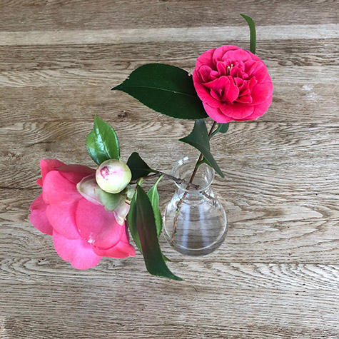 Tribute to Boris Gerrets from Utrechtsedwarsstraat